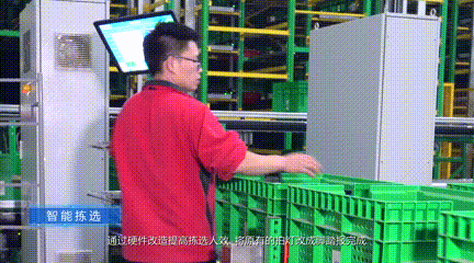 9.gif 9.gif